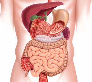 Gastroenterology2